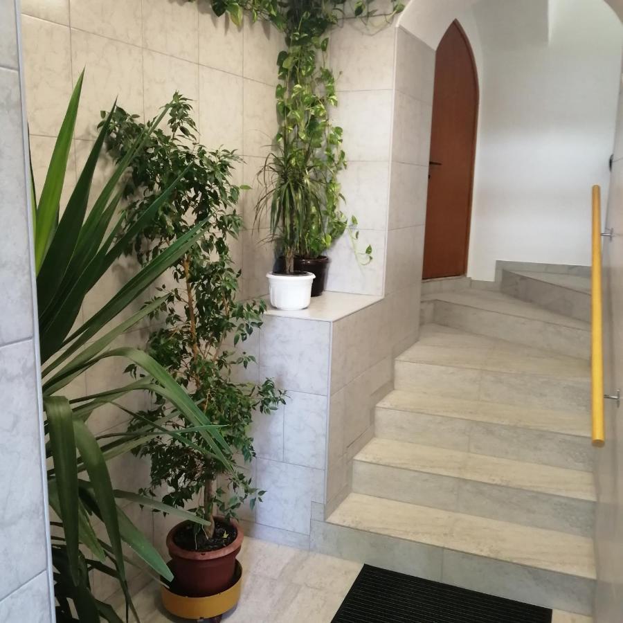 Apartmani Marijan Цриквеница Экстерьер фото